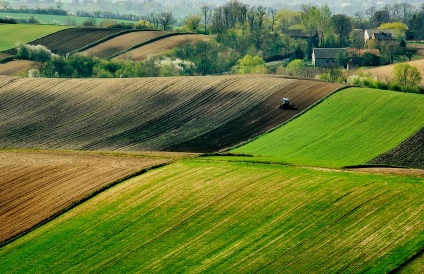 Trésor dans votre champ, verger, vigne